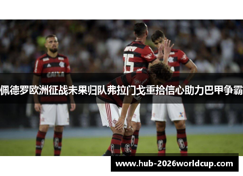 佩德罗欧洲征战未果归队弗拉门戈重拾信心助力巴甲争霸 佩德罗欧洲征战未果归队弗拉门戈重拾信心助力巴甲争霸
